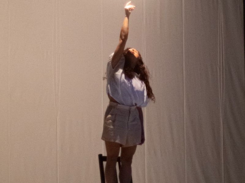 dansehabile