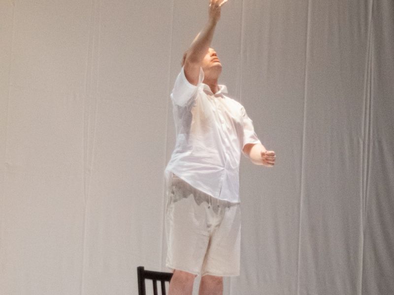 dansehabile