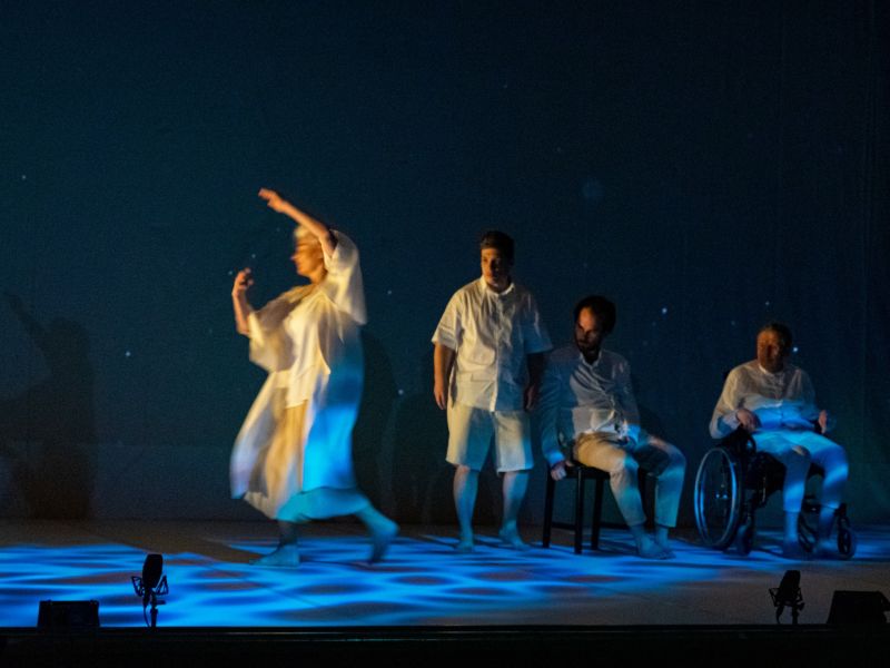 dansehabile