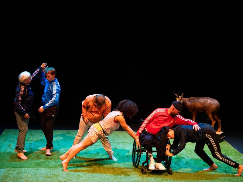 danse habile 22 23.11.2023 