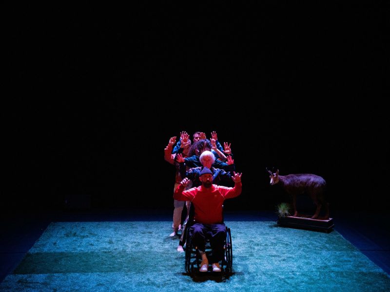 danse habile 22 23.11.2023 