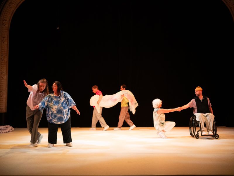 danse habile novembre 2024