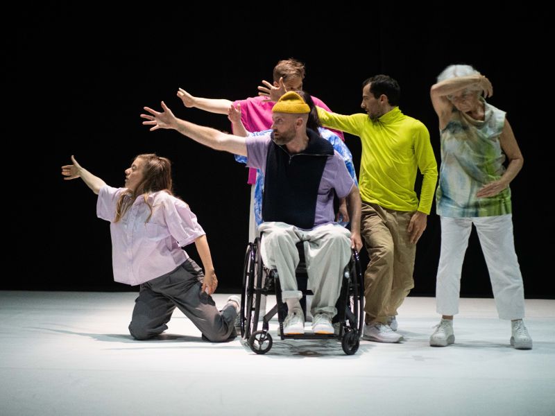 danse habile novembre 2024