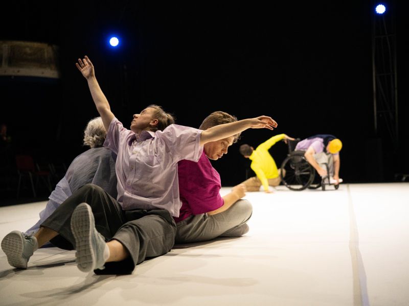 danse habile novembre 2024