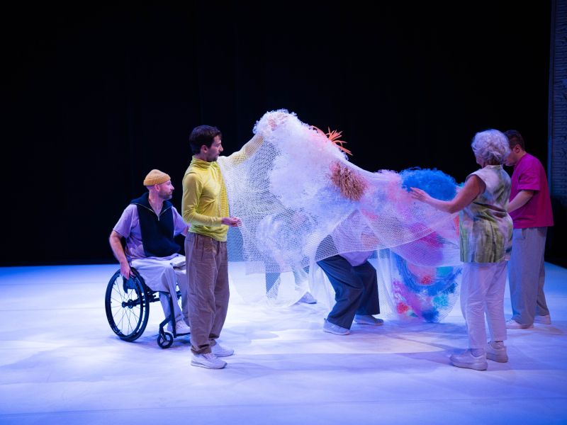danse habile novembre 2024