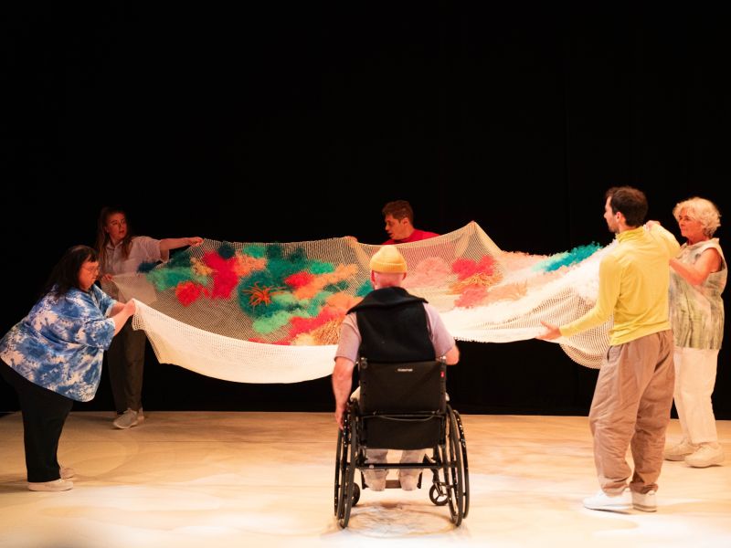 danse habile novembre 2024