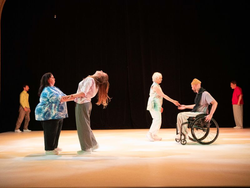 danse habile novembre 2024
